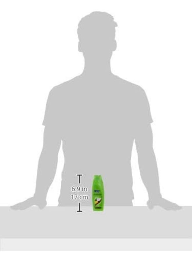 Pert Plus Anti-Dandruff Shampoo With Coconut Oil And Lemon Extract 200Ml - Image 3