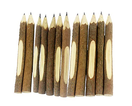 SKKSTATIONERY 12 Pcs Natural Wooden Pencils Wood Tree Branch, 5" Long Twig Hand Made Pencils for School Party Supplies Novelty Gifts for Kids - Image 5