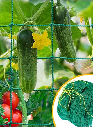 Plant Creeper and Trellises Net - Durable and Flexible Garden Netting for Climbing Plants and Vegetables - pzsku/Z1F0DD752C81405025232Z/45/_/1685185601/5ebf8bac-2746-4d9e-8a6b-aedaa9e3b264