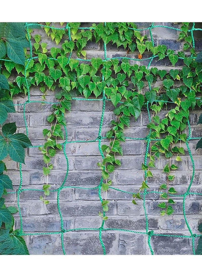 Generic - Plant Creeper and Trellises Net - Durable and Flexible Garden Netting for Climbing Plants and Vegetables - Image 1