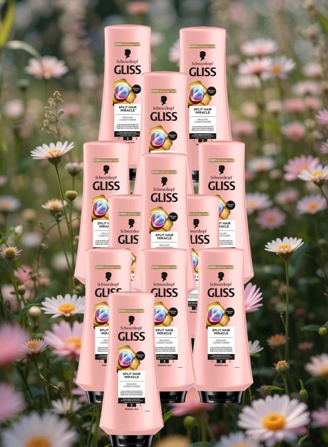 Gliss 12 Pieces Gliss Conditioner Split Hair Miracle 360ML - Image 1