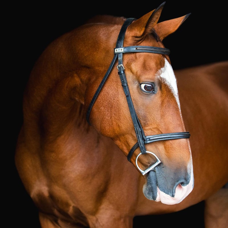Breyer Adamek AkhalTeke Horse Figure 1861 Brown 00 - Image 2