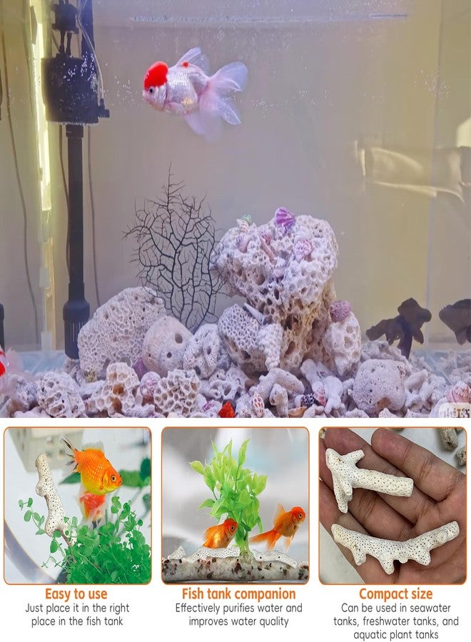 كاثسون 1.1 رطل من المرجان المسحوق لأحواض السمك، مرجان مسحوق لأحواض المياه العذبة، مرجان لأحواض السمك لرفع درجة الحموضة، وسائط ترشيح لأحواض السمك مع كيس شبكي، زينة وسائط ترشيح أحواض السمك - Image 4
