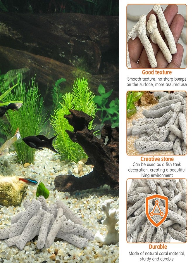 كاثسون 1.1 رطل من المرجان المسحوق لأحواض السمك، مرجان مسحوق لأحواض المياه العذبة، مرجان لأحواض السمك لرفع درجة الحموضة، وسائط ترشيح لأحواض السمك مع كيس شبكي، زينة وسائط ترشيح أحواض السمك - Image 3