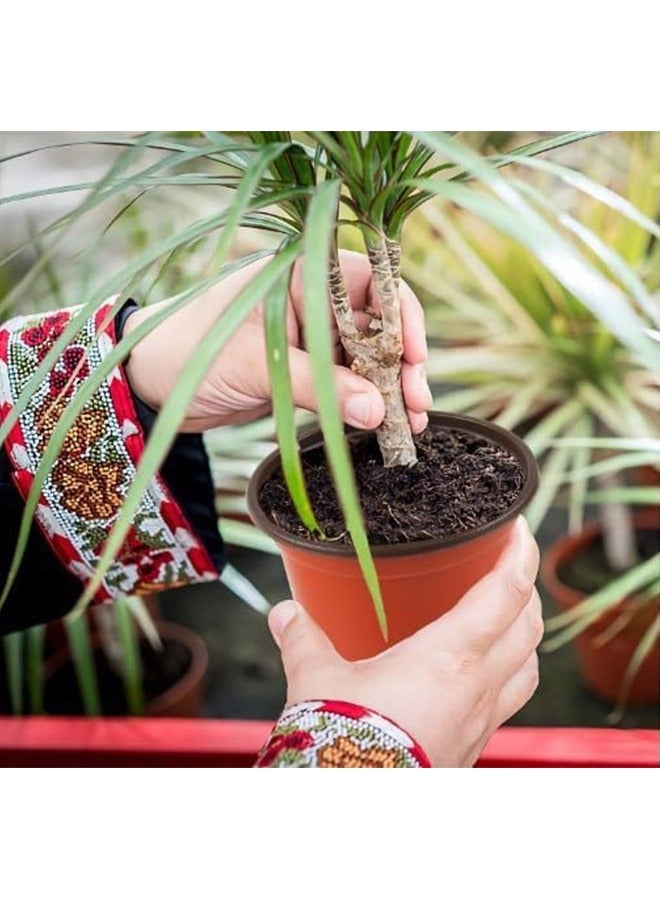 Bukela 50 Pack Diameter 13Cm Plastic Planter Nursery Pots with Seedlings Pots Starter Pots Plant Containers for Succulents, Seedlings, Cuttings - Image 4