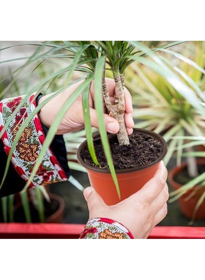 كيلا عبوة من 50 وعاء زراعة بلاستيكي بقطر 13.5 سم، مناسب لزراعة الشتلات والنباتات العصارية والشتلات والعُقَل. - Image 5