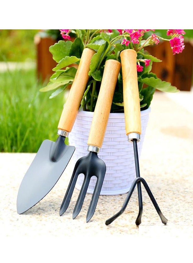 DubaiGallery 3Pcs Garden Hand Tools Set Iron Gardening Shovel Spade Rake Trowel Wood Handle - Image 4