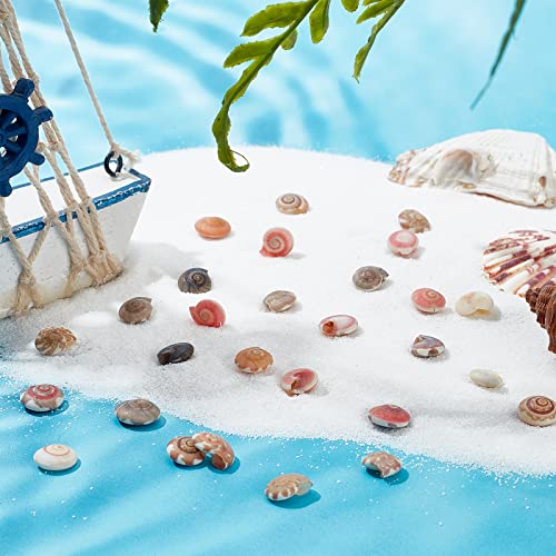 PH PandaHall Tiny Sea Shells 190g Colorful Spiral Ocean Beach Seashells No Hole Small Turbo Shell Craft Shell Charms Mini Shells for Resin Crafts Party Wedding Home Decor Vase Filler Fish Tank - Image 3
