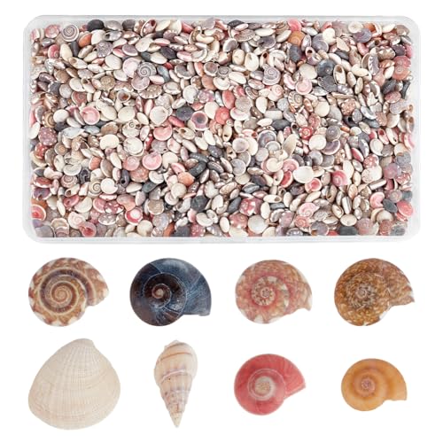 PH PandaHall Tiny Sea Shells 190g Colorful Spiral Ocean Beach Seashells No Hole Small Turbo Shell Craft Shell Charms Mini Shells for Resin Crafts Party Wedding Home Decor Vase Filler Fish Tank - Image 1