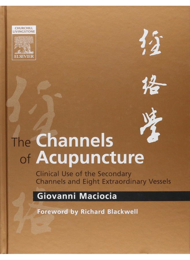 The Channels of Acupuncture: The Channels of Acupuncture  - Image 3