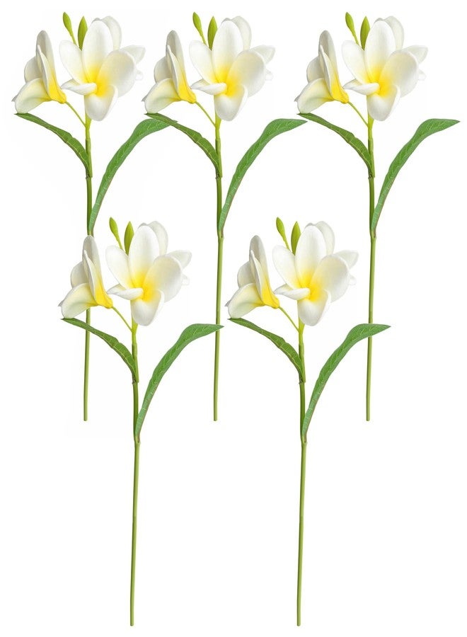 Htmeing 5PCS PU Real Touch Lifelike Artificial Plumeria Frangipani Flower Stems Wedding Home Party Spring Flowers Decoration (White) - Image 1