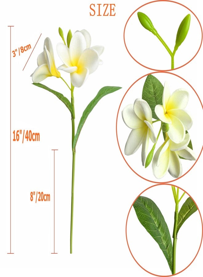Htmeing 5PCS PU Real Touch Lifelike Artificial Plumeria Frangipani Flower Stems Wedding Home Party Spring Flowers Decoration (White) - Image 2