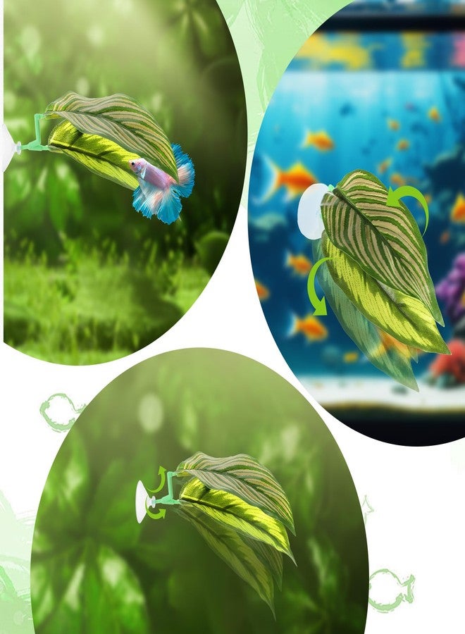 Psiriol 5Pcs Betta Hammock & Fish Toys Set, Betta Fish Tank Accessories Hammock Soft Aquarium Decor Plastic Plants with Suction Cups for Sleeping Resting Hiding Playing - Image 5
