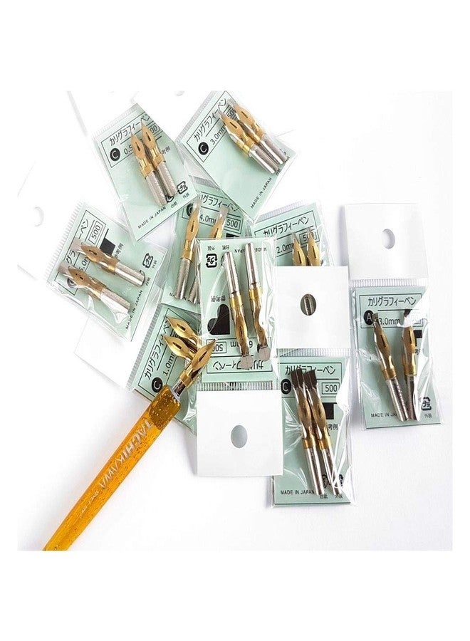Tachikawa - Calligraphy Pen Nib - Type A (Flat) - Size 6 mm - Pack of 2 - Image 4