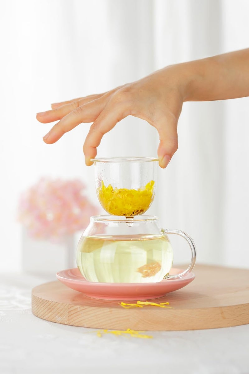 Rain House Mushroom Tea Cup Set, Cute Glass Tea Cups and Saucers, Kawaii Tea Cup with Infuser for Loose Leaf Tea Steeper, Coffee Mug Christmas Gifts for Women,Tea Infuser Mug with Lid for Mother Girls (Yellow) - Image 3