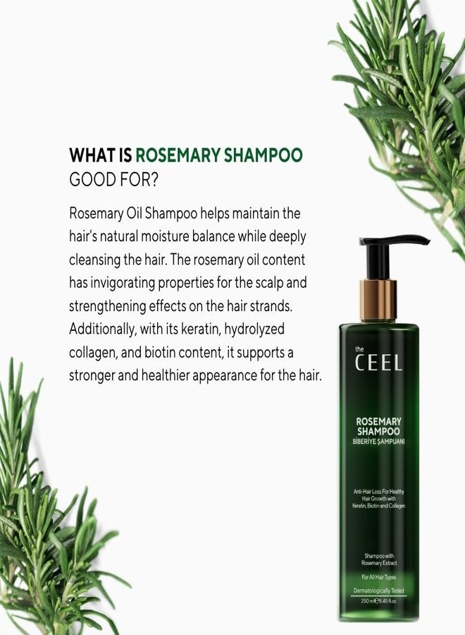 The CEEL Rosemary Shampoo with Biotin, Keratin and Collagen, Anti-Hair Loss Formula for All Hair Types, Dermatologically Tested, 8.45 fl oz - Image 2