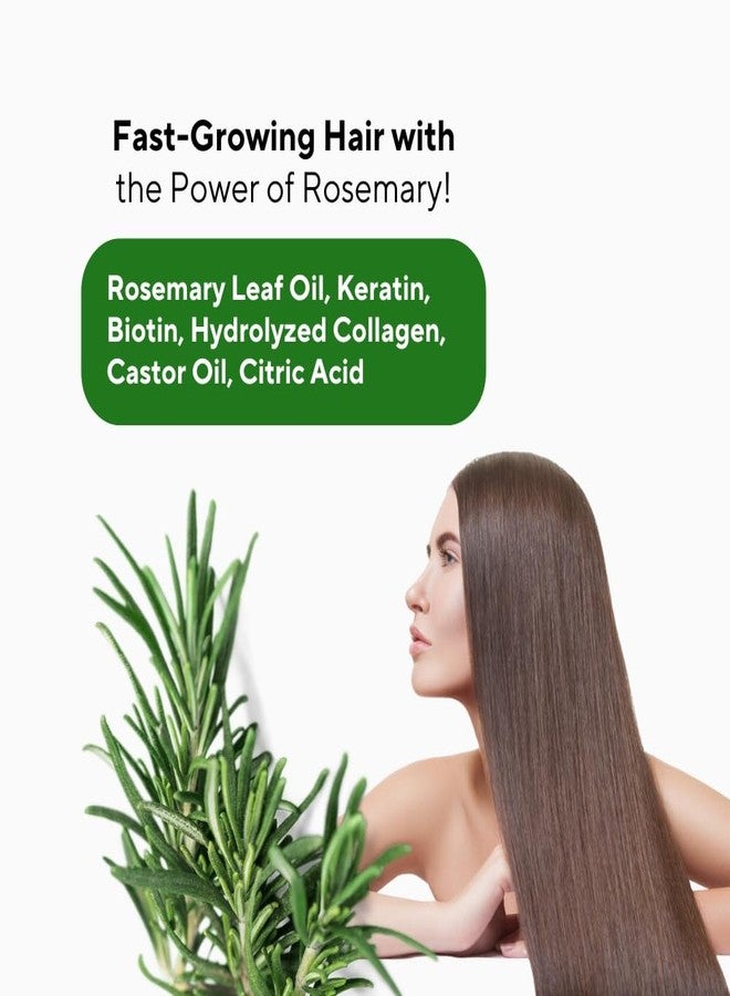 The CEEL Rosemary Shampoo with Biotin, Keratin and Collagen, Anti-Hair Loss Formula for All Hair Types, Dermatologically Tested, 8.45 fl oz - Image 5