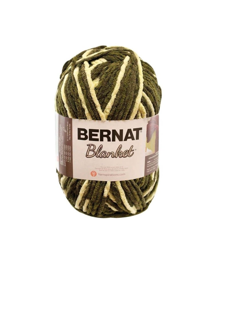 Bernat Blanket Yarn Gathering Moss - Image 2