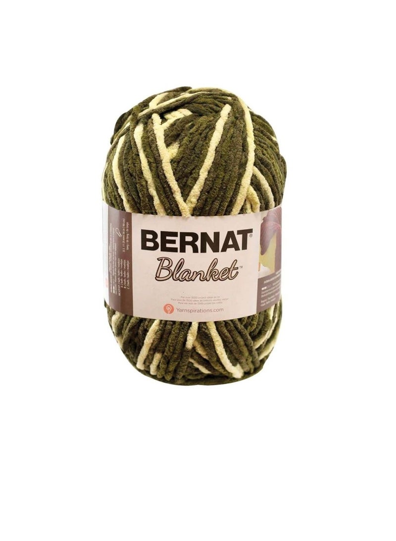 Bernat Blanket Yarn Gathering Moss - Image 3