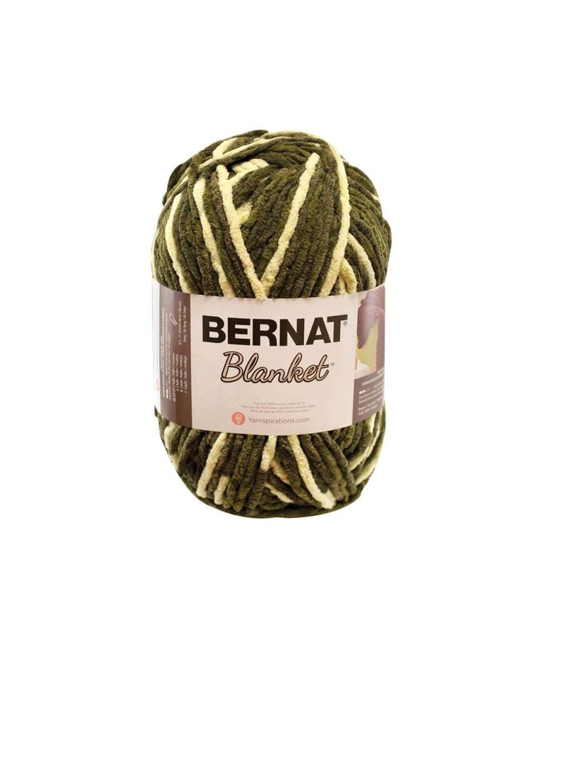 Bernat Blanket Yarn Gathering Moss - Image 1