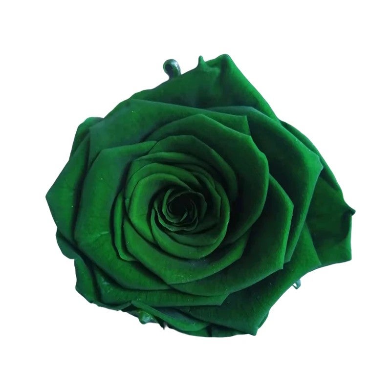 Y&D Preserved Rose 4-5cm - Real Dried Flowers, Immortal Rose for Valentine's Day Gift, DIY Bouquet & Artificial Flower Arrangements - Image 1