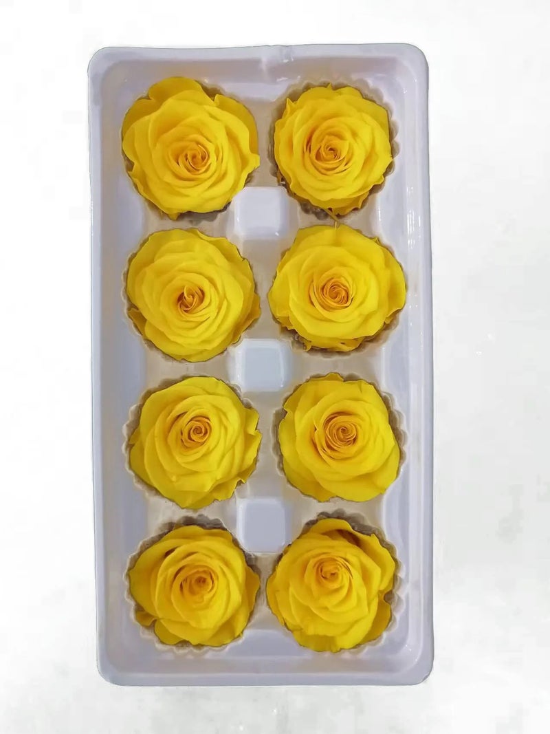 Y&D Preserved Rose 4-5cm - Real Dried Flowers, Immortal Rose for Valentine's Day Gift, DIY Bouquet & Artificial Flower Arrangements - Image 4
