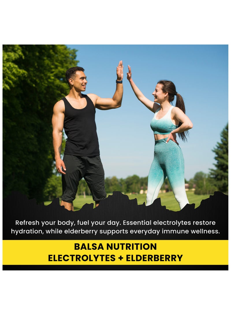 Balsa Nutrition Zero Sugar Electrolyte Powder Elderberry 20 Hydration Packets - Image 4