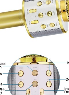 Generic WS-858 Wireless Bluetooth Handheld Microphone Stand Karaoke Mike with Speaker Audio Recording for Cellphone (Gold/Silver)  - Image 3