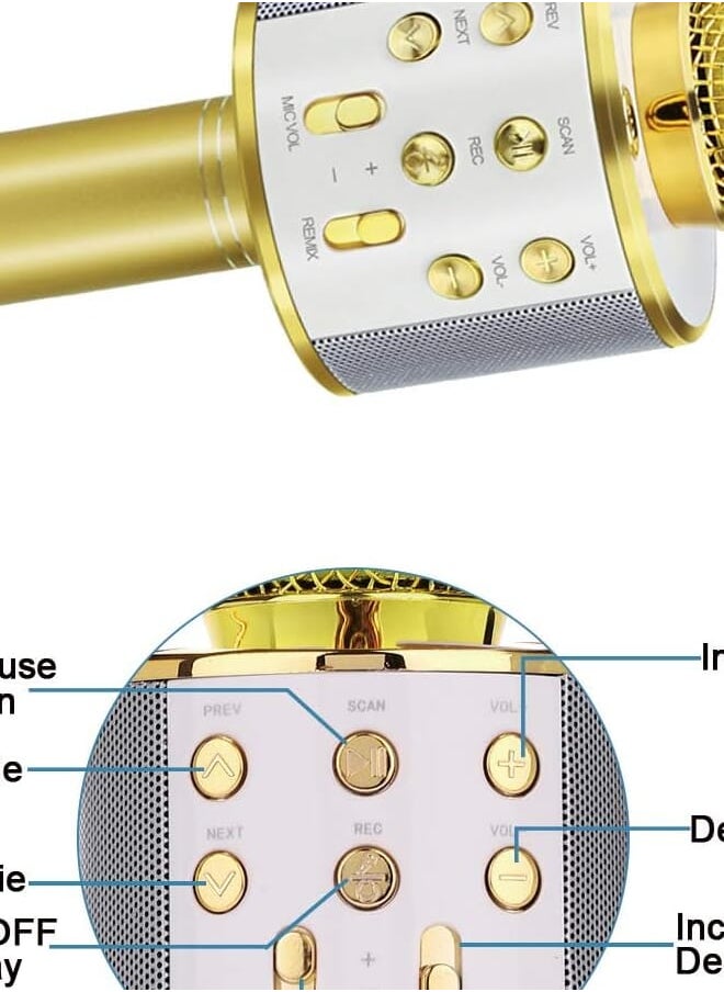 Generic - WS-858 Wireless Bluetooth Handheld Microphone Stand Karaoke Mike with Speaker Audio Recording for Cellphone (Gold/Silver) - Image 1