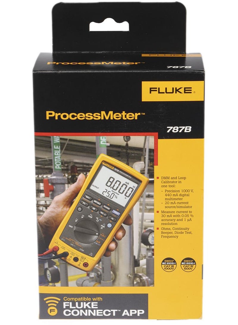FLUKE Process Meter - Image 2