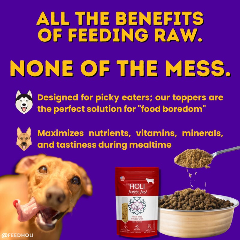 HOLI Beef Liver Dog Food Topper - Single Ingredient, Human-Grade - Freeze Dried Protein and Flavor Enhancer for Picky Dogs – Grain Free – 100% All Natural - 2oz - Image 4