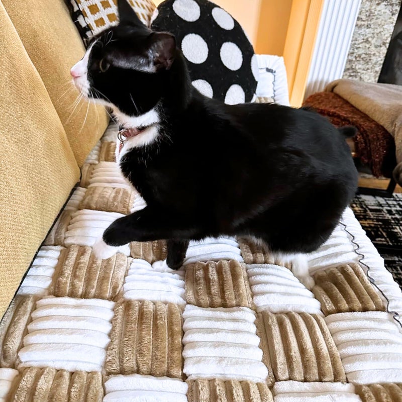 Cattasaurus Washable Pet Friendly Couch Covers for 3 Cushion Sofa, Comfort Cat Beds for Indoor Cats, Cozy Kitten Bed, Super Soft Plush Pet Bed for Cat/Dog with Anti-Slip Bottom (Large, Light Brown) - Image 1