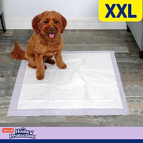 Hartz Home Protection Lavender Scented Dog Pads, XXL 40 count, Super Absorbent & Won't Leak, Odor Eliminating - Image 5