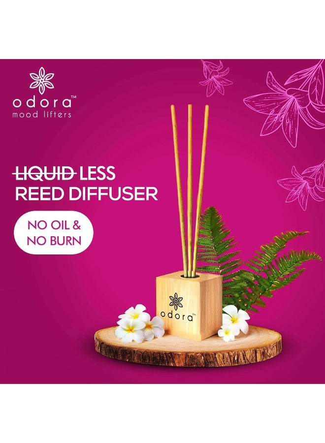 Liquidless Reed Diffuser - Fern and Frangipani, Infused with Essential Oils, Long Lasting Fragrance Lasts Upto 30 Days, No Burn & No Oil, Biodegradable, Room Freshener for Home, 6 Wooden Reeds - view 2