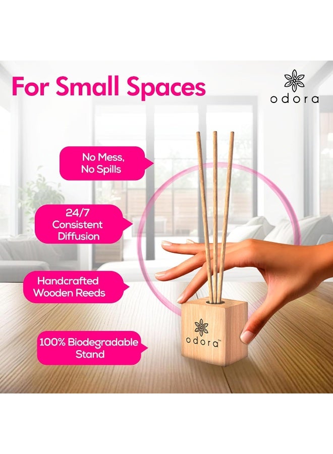 Liquidless Reed Diffuser - Fern and Frangipani, Infused with Essential Oils, Long Lasting Fragrance Lasts Upto 30 Days, No Burn & No Oil, Biodegradable, Room Freshener for Home, 6 Wooden Reeds - view 4