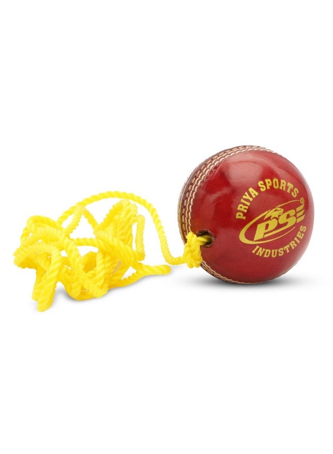 PSE Priya Sports Leather Match Practice Hanging Cricket Ball for Practice Match|Red Color |Pack of 4| (Red_Hanging_Cricket_Balls_1, 1) - Image 1