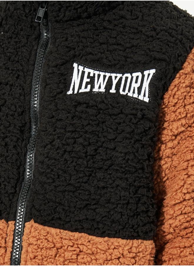 Colorblock Embroidered Teddy Fuzzy Jacket - pzsku/Z1F2F0FD19AFAD76351ACZ/45/_/1733818944/ab489a8f-8564-44a4-8db9-798a133ddd47
