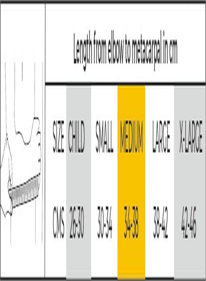 داينا حمالة ذراع داينا نيو (مقاس XL) - Image 2
