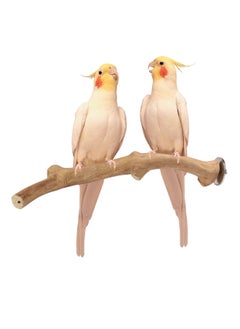 CHEWY BEAK Birds Stand Java wood small Parrot small Birds Cocktiel Love birds Sun Conures Wood Perch Natural Indonesian Wooden Tree branch Cage Accessories stick  - Image 1