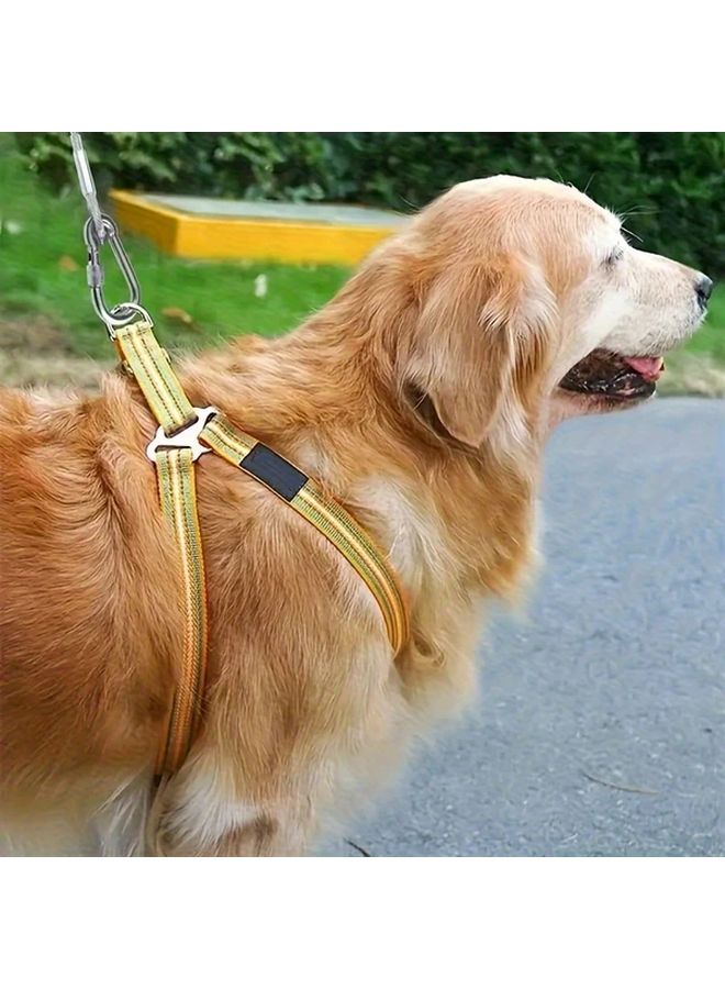 Durable 5m 196 85in Metal Cable Rust Resistant Outdoor Railing Garden Fence Dog Leash - Image 5