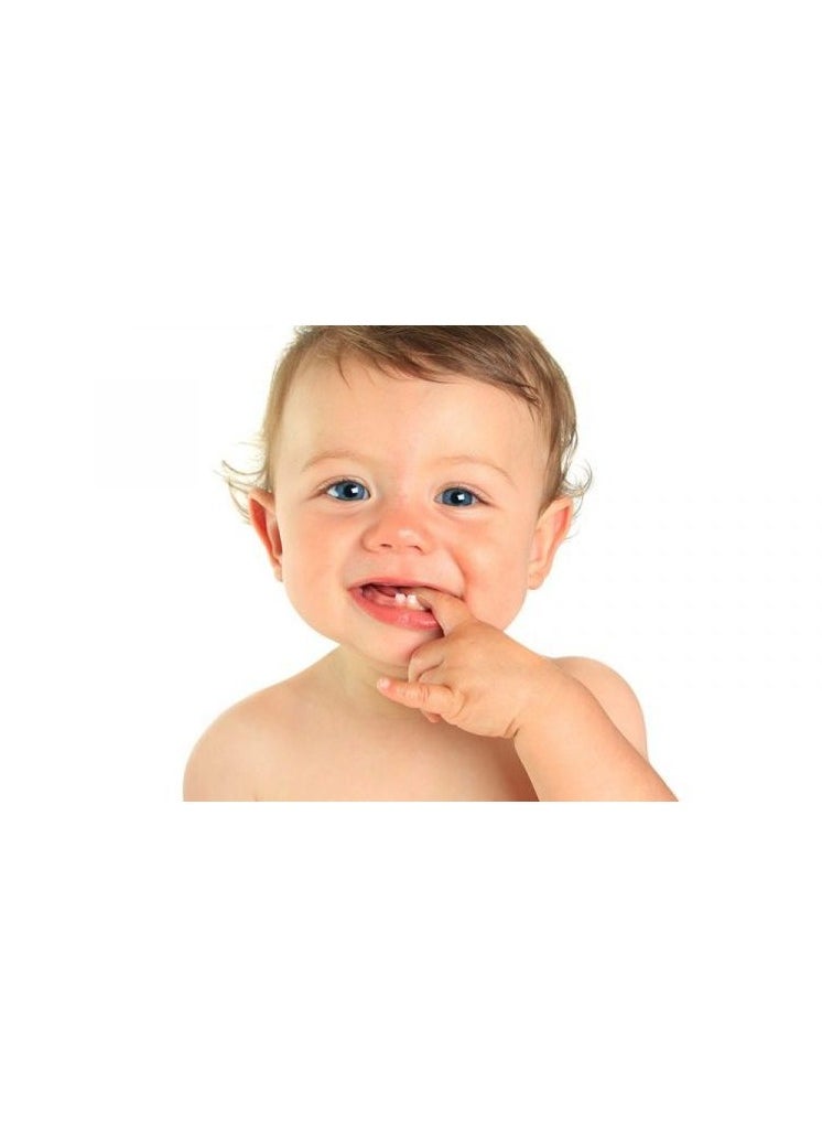 FISH - Fish Little Grapes Shaped Baby Teether - Image 1