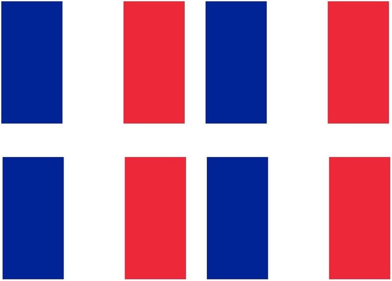 Set of 4 FRANCE Flag Temporary Tattoo Waterproof Lasts 1 week Flag for country support six nations rugby football cricket FRENCH FLAG