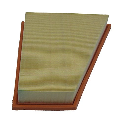 ECOGARD XA6143 Premium Engine Air Filter Fits 2012-2015 BMW X1, 2012-2016 528i, 528i xDrive, Z4, 2014-2016 520i - Image 2