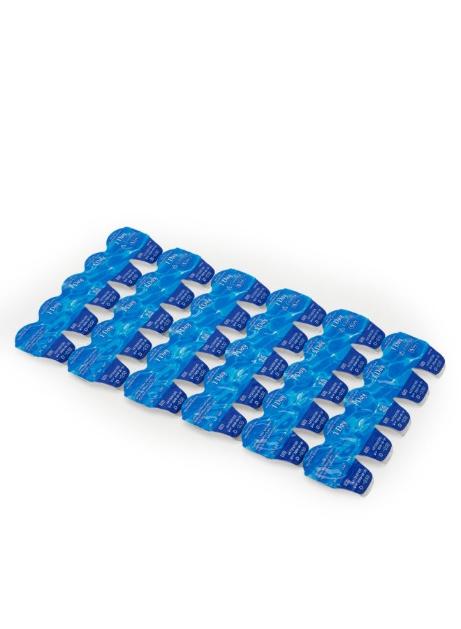 Everva Pure - Daily Disposable - Pack of 30 - Image 3