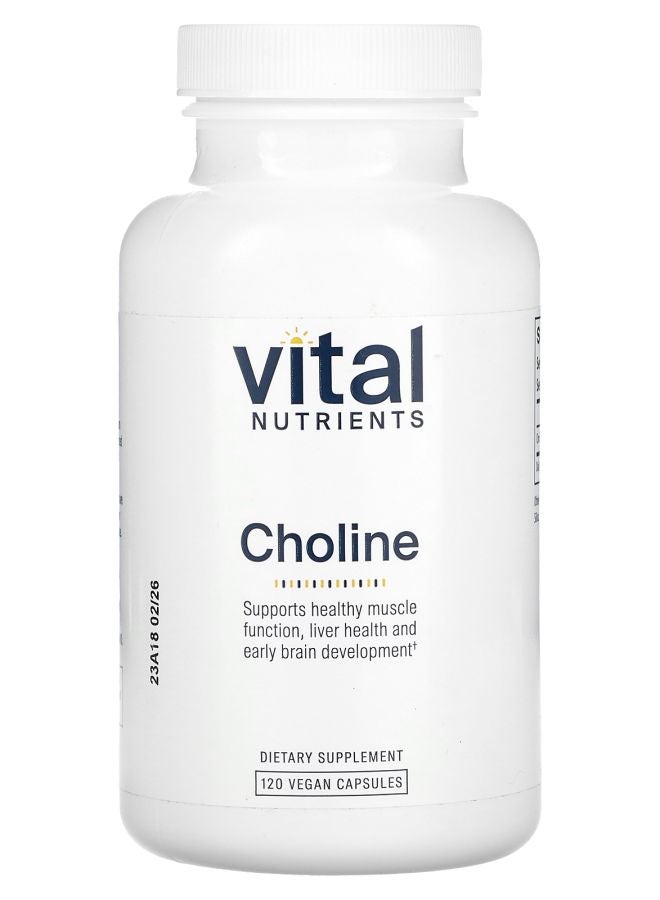 Vital Nutrients Choline 120 Vegan Capsules