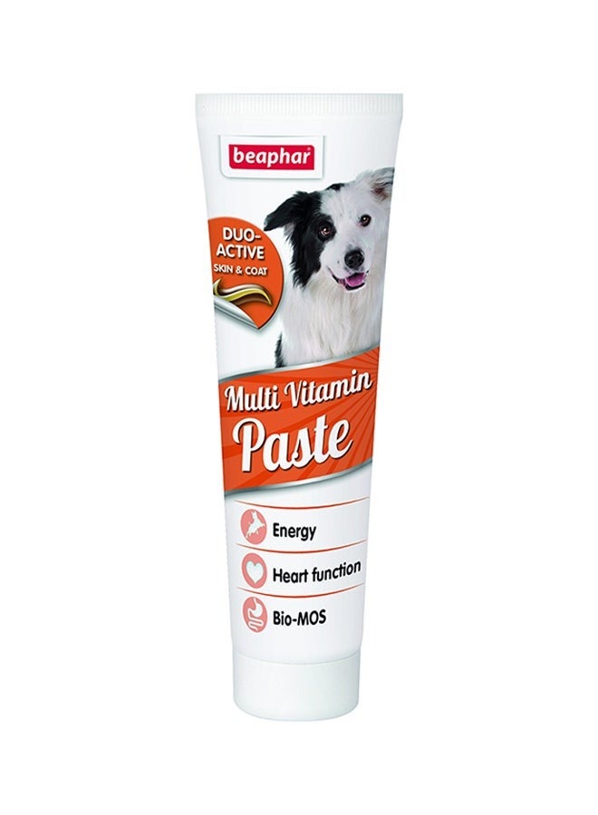 بيفار معجون ديو أكتيف متعدد الفيتامينات للكلاب، 100 جرام