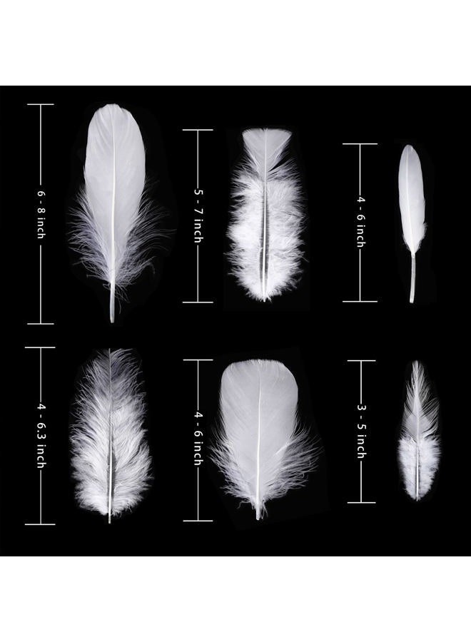 Larryhot White Craft Feathers Bulk - 240pcs 6 Style Mixed Natural Feathers for Wedding Home Party, Dream Catcher Supplies and DIY Crafts (White) - Image 4