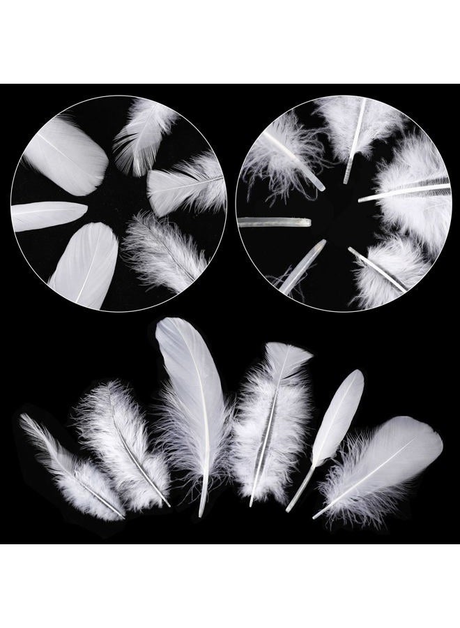 Larryhot White Craft Feathers Bulk - 240pcs 6 Style Mixed Natural Feathers for Wedding Home Party, Dream Catcher Supplies and DIY Crafts (White) - Image 3