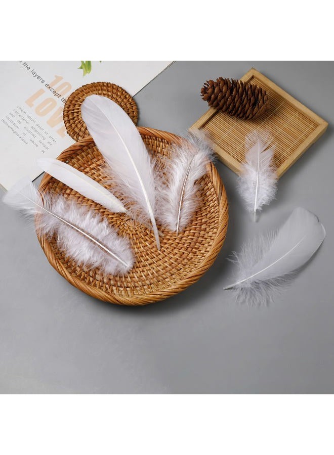 Larryhot White Craft Feathers Bulk - 240pcs 6 Style Mixed Natural Feathers for Wedding Home Party, Dream Catcher Supplies and DIY Crafts (White) - Image 5