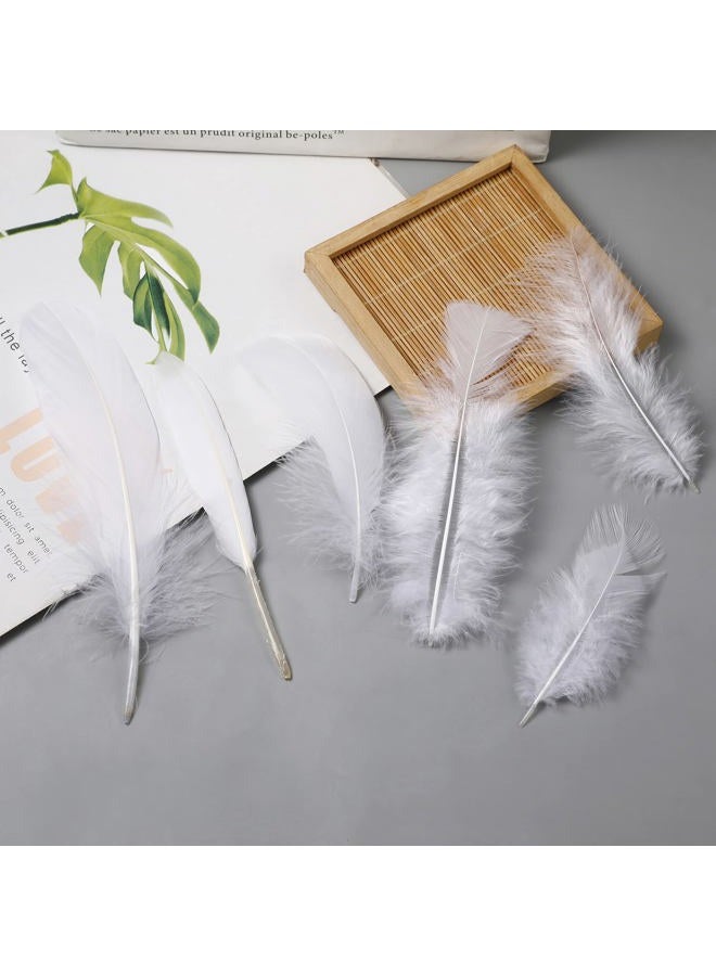 Larryhot White Craft Feathers Bulk - 240pcs 6 Style Mixed Natural Feathers for Wedding Home Party, Dream Catcher Supplies and DIY Crafts (White) - Image 2